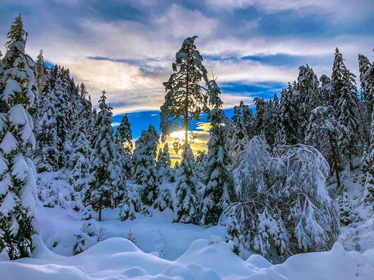 Chalet Wildalpen Eksteriør billede